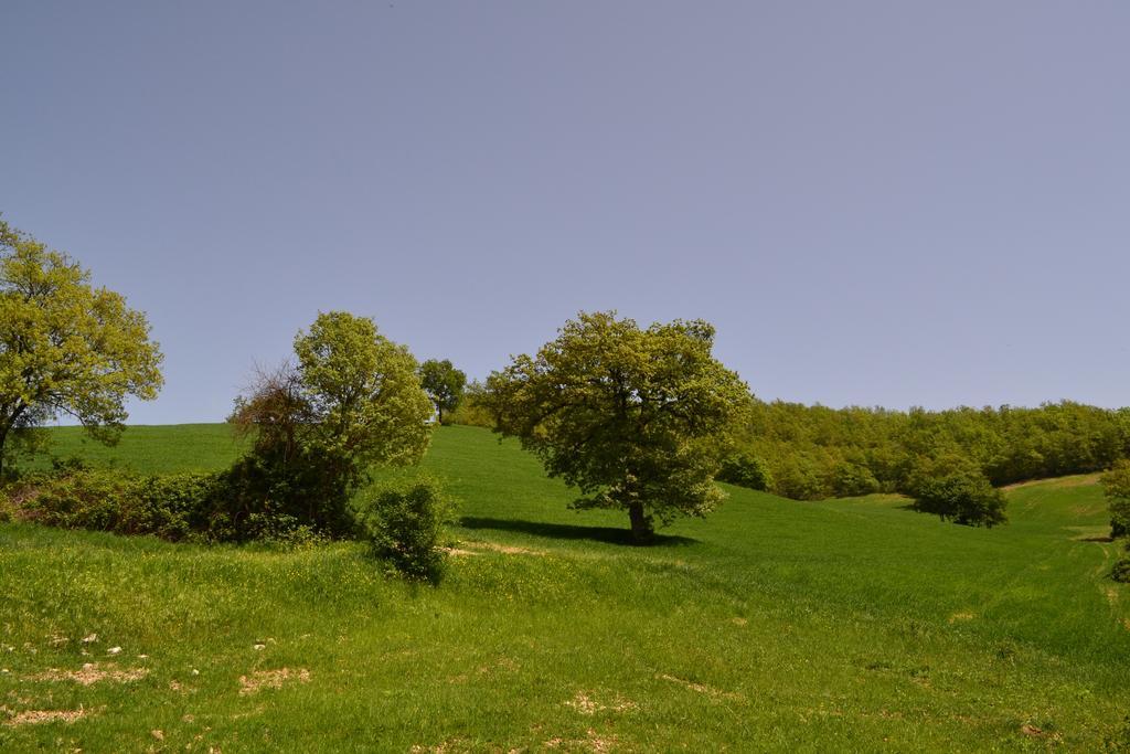 Agriturismo Marano Mengara Dış mekan fotoğraf
