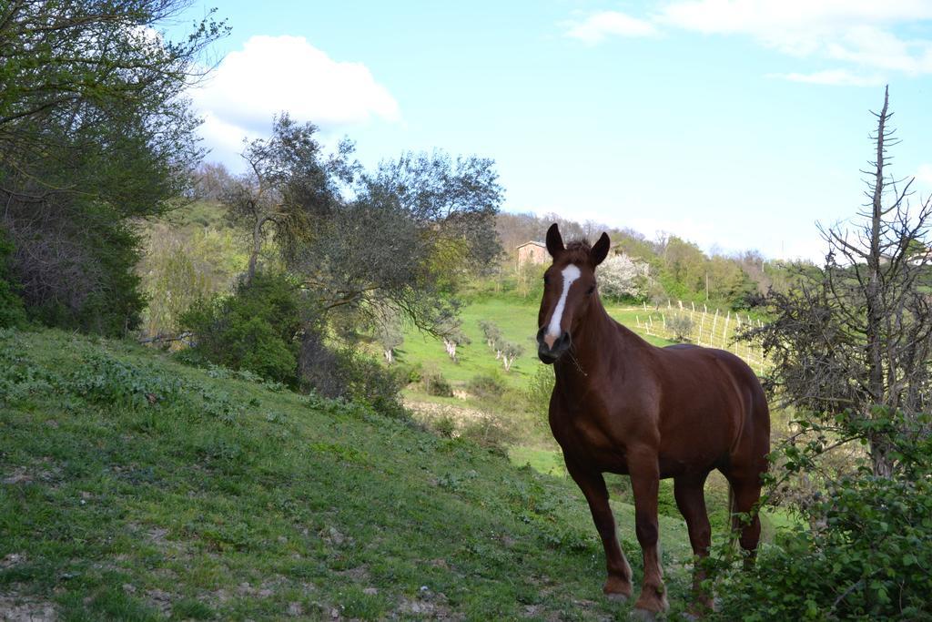 Agriturismo Marano Mengara Dış mekan fotoğraf